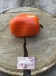 Pimiento Bychock Bell Orange 10 semillas