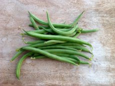 Haricot Vert Sprite – 10 graines TessGruun