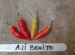Hot Pepper Chili  Aji Benito 5 samen TessGruun