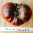 Tomato Amazon Chocolate 20 seeds TessGruun