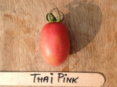 Tomate Thai Pink 5 graines TessGruun