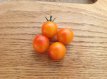 ZTOTGISCACH Tomato Isis Candy Cherry 10 seeds TessGruun
