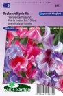 ZBESG5675 Lathyrus odoratus multiflorus Ripple mix Sluis Garden