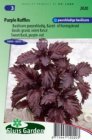 ZKRSG2020 Basilicum Purple Ruffles Ocimum bas. purpureum Sluis Garden