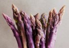 ZSTTPASSWPU Asparagus Sweet Purple 10 seeds TessGruun