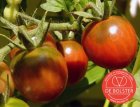 Tomate Cerise (noire) BIO De Bolster