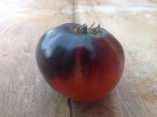 ZTOTGINAP Tomato Indigo Apple 10 seeds TessGruun