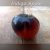 Tomaat Indigo Apple 10 zaden TessGruun