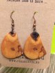 Handmade maple earrings finished with natural product.