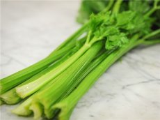 Celery Tall Utah TessGruun