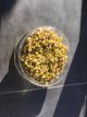 ZKITPMUKZ Mung Bean Organic Sprouting (20g) TessGruun