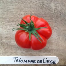 Paquet de graines de tomates: 10 variétés de tomates heirloom uniques (10 graines par variété)