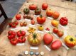 Tomato seeds package: 20 varieties of unique heirloom tomatoes (10 seeds per variety)