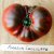 ZPATGTO250 Tomatenzaden pakket 10 soorten unieke heirloom tomaten  20 zaden per soort