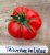 ZPATGTO250 Tomatenzaden pakket 10 soorten unieke heirloom tomaten  20 zaden per soort