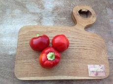 Hot Pepper Kinizsi Hot Apple / Hungarian Hot Apple 10 seeds TessGruun