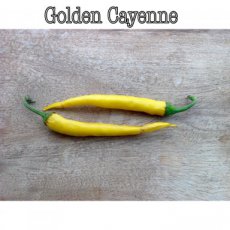 Chile Golden Cayenne 10 semillas TessGruun