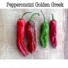 Chile Pepperoncini Golden Greek 10 semillas TessGruun
