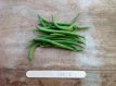 ZPVTGSP Dwarf Green Bean Sprite – 10 seeds TessGruun