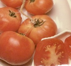Tomate De Colgar 10 graines