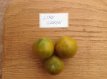Tomaat Lime Green 10 zaden TessGruun