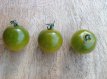 ZTOTGGRDO Tomate Green Doctors 10 graines TessGruun