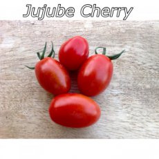 Tomaat Jujube Cherry 10 zaden TessGruun