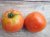 Tomate Apple Of Novi Sad 10 graines TessGruun