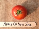 Tomate Apple Of Novi Sad 10 graines TessGruun