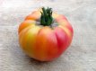 Tomate Burrackers Favorite 10 Samen TessGruun