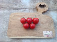 Tomate 42 Days 10 semillas TessGruun