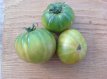 Tomate Absinthe 10 graines TessGruun