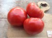 Tomate Aker’s West Virginia 10 graines TessGruun