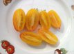 Tomate Artisan Blush Tiger 10 graines TessGruun