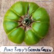 Tomate Aunt Ruby's German Green 10 graines TessGruun