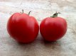 ZTOTGBAB Tomate Babanicz 10 semillas TessGruun