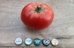 ZTOTGBEE Tomato Beefsteak 10 Organic seeds TessGruun