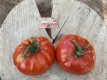 Tomate Beefmaster 10 graines TessGruun