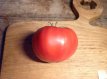 Tomate Belle Rousse 10 graines TessGruun