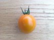 Tomate Big Sungold Select 10 graines TessGruun