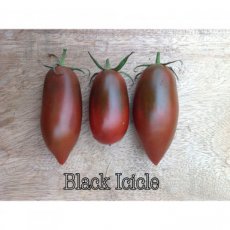 Tomate Black Icicle 10 graines TessGruun
