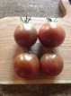 Tomate Black Pear 10 graines TessGruun