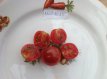 Tomate Blue Pitts 10 graines TessGruun