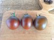 Tomate Prince Noire 10 graines TessGruun