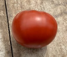 Tomate Boule de Venus 10 graines