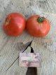 ZTOTGBUDE Tomato Burpee Delicious 10 seeds TessGruun