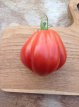 Tomate Coeur de boeuf de Nice 10 graines TessGruun
