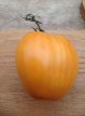Tomate Coeur De Boeuf Orange 10 graines TessGruun
