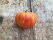 ZTOTGCHALILI Tomate Chalilis 10 semillas