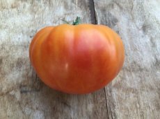 ZTOTGCHALILI Tomate Chalilis 10 semillas